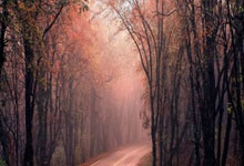 孙兴慜：要提前晋级世界杯绝非易事 我的体能状况比以往都好.