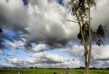 太阳报：姆巴佩已经搬入了贝尔之前居住的豪宅.