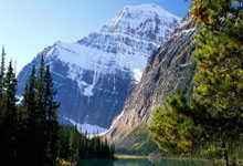 好博体育官网：官方：36岁马塞洛宣布退役 结束20年职业生涯.