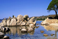 好博体育官网：官方：36岁马塞洛宣布退役 结束20年职业生涯.